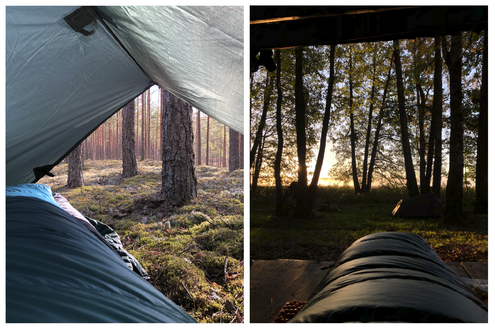 Varahommikud looduses. Foto: Lauri Pugast.