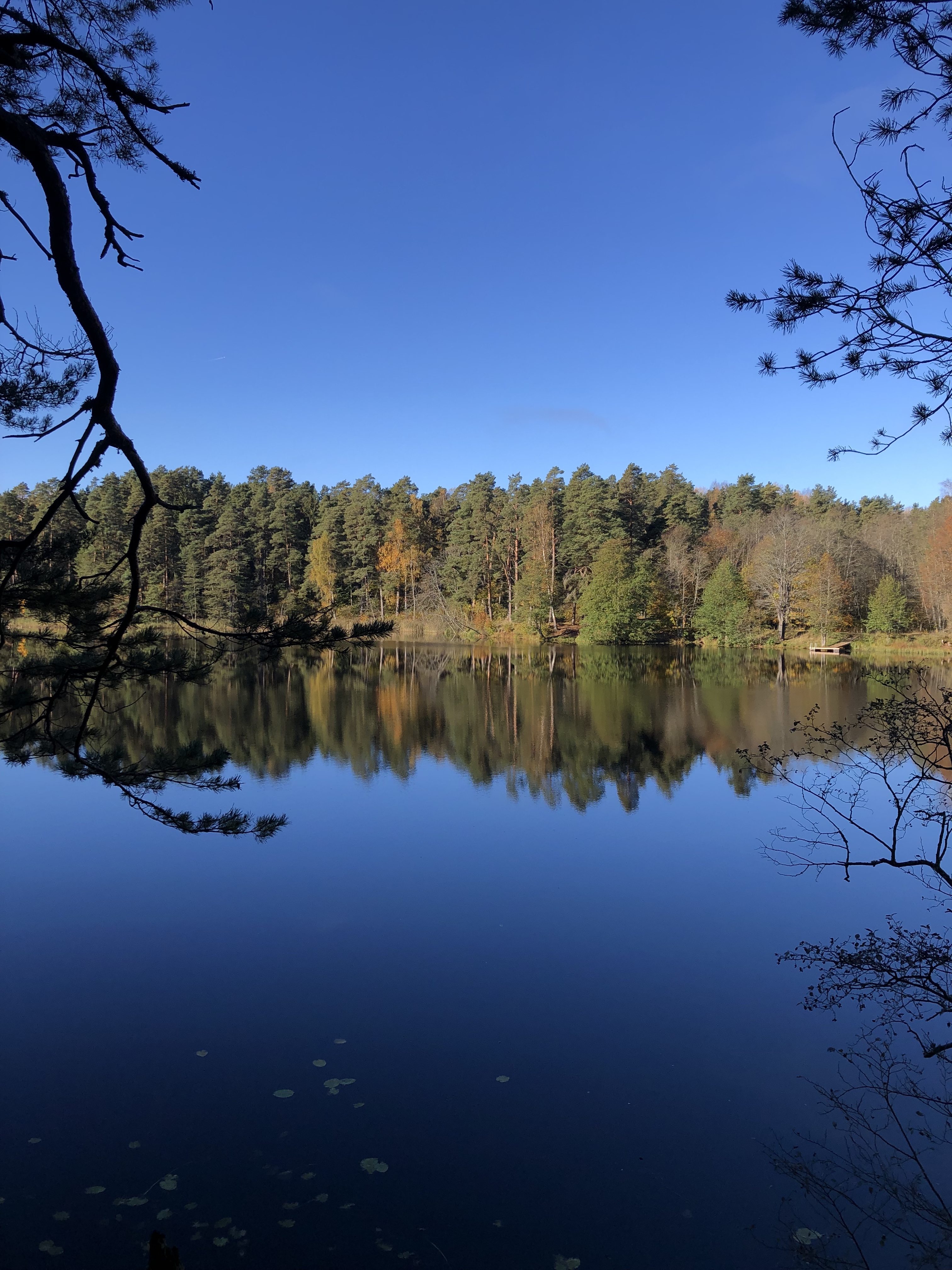 Verijärve vaade. Võru valla matkasarja avamatk. Foto autor: Lauri Pugast.